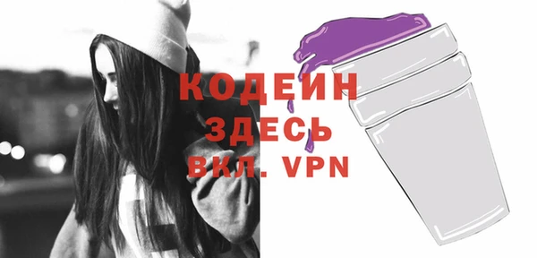 ГАЛЛЮЦИНОГЕННЫЕ ГРИБЫ Гусев