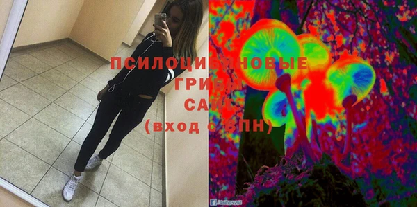 PSILOCYBIN Гусь-Хрустальный