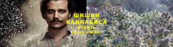 mdpv Шали