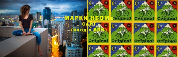 ГАЛЛЮЦИНОГЕННЫЕ ГРИБЫ Гусев