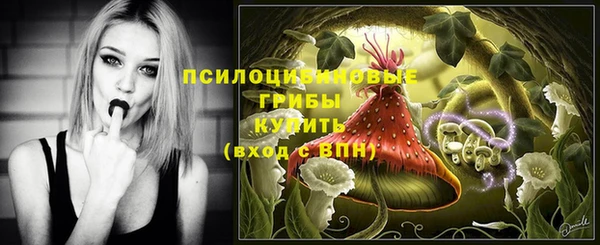 ГАЛЛЮЦИНОГЕННЫЕ ГРИБЫ Гусев