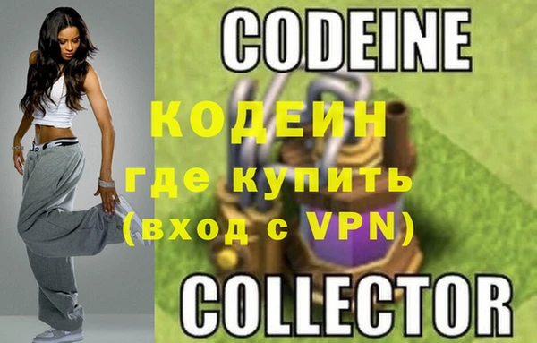 ГАЛЛЮЦИНОГЕННЫЕ ГРИБЫ Гусев